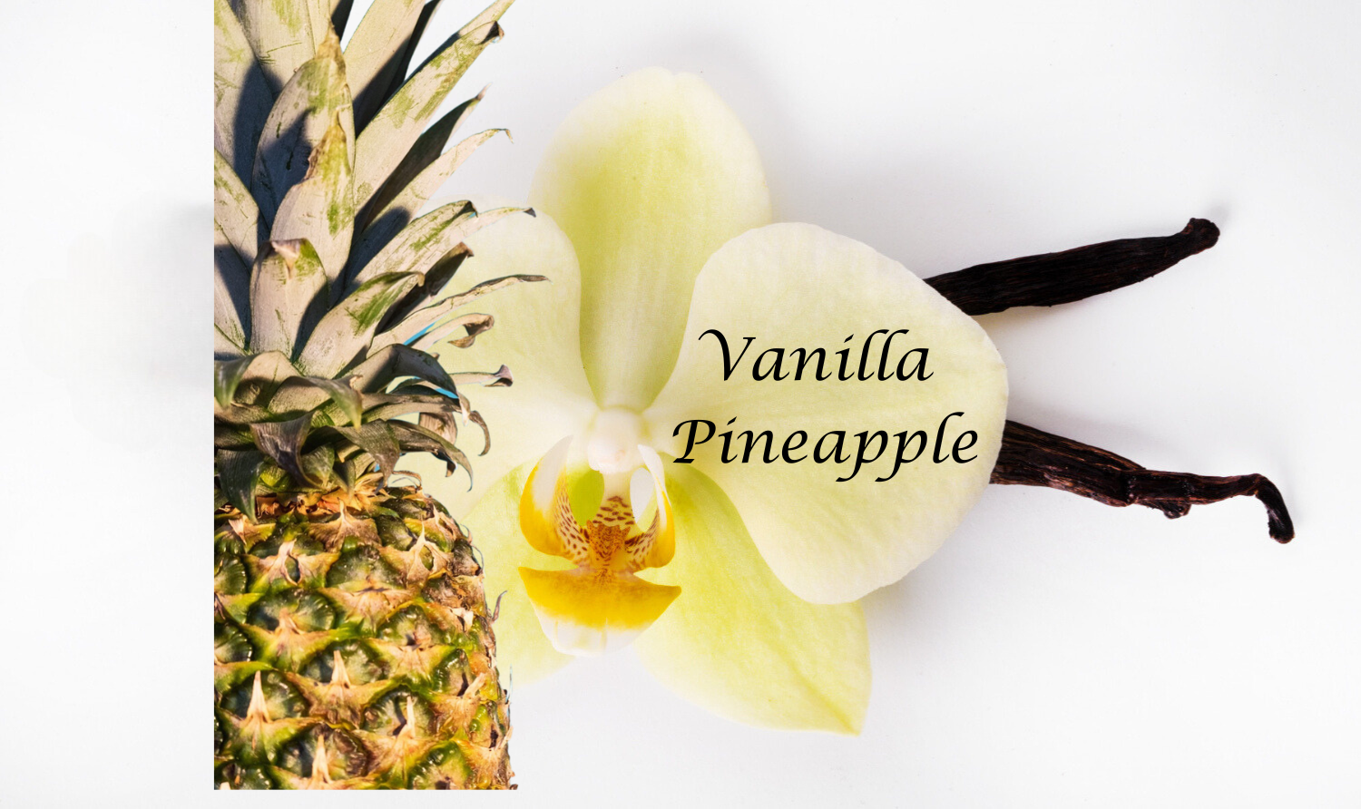 Vanilla Pineapple Body Oil - Light, Soft, Sensual Oil - Alcohol